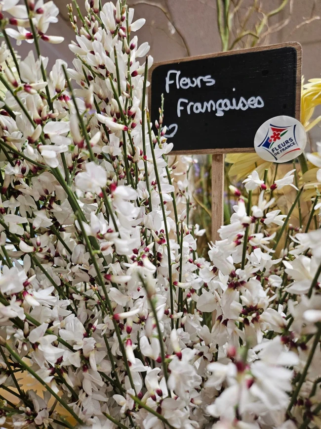 fleurs françaises