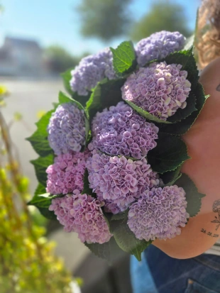 fleurs