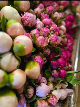 fleurs