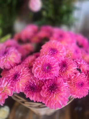 fleurs