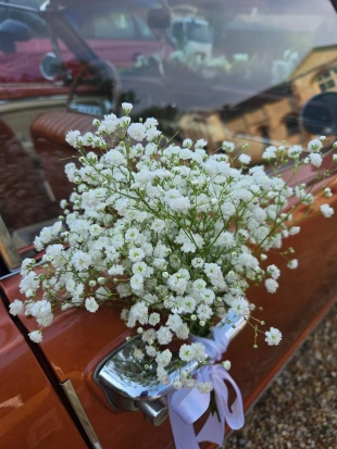 fleurs